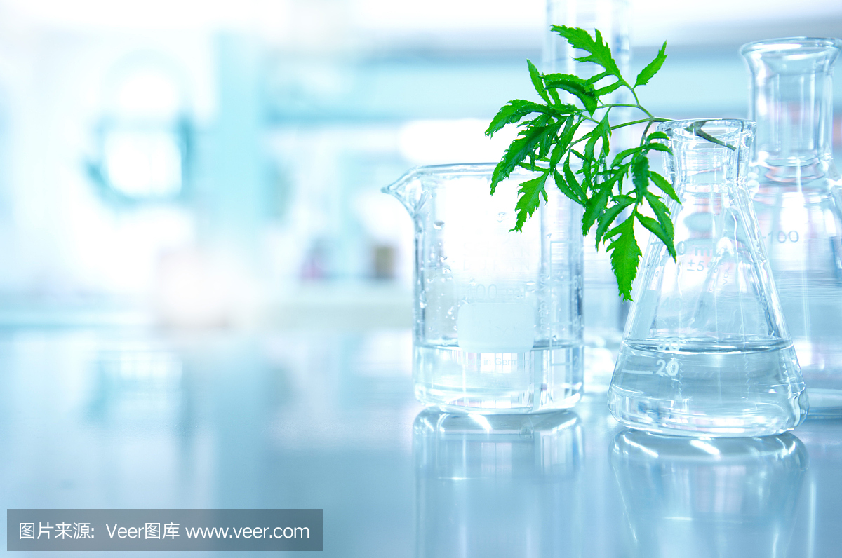 生物科技实验室用天然绿叶烧杯和烧瓶